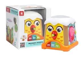 5-in-1 Step & Play Drum
