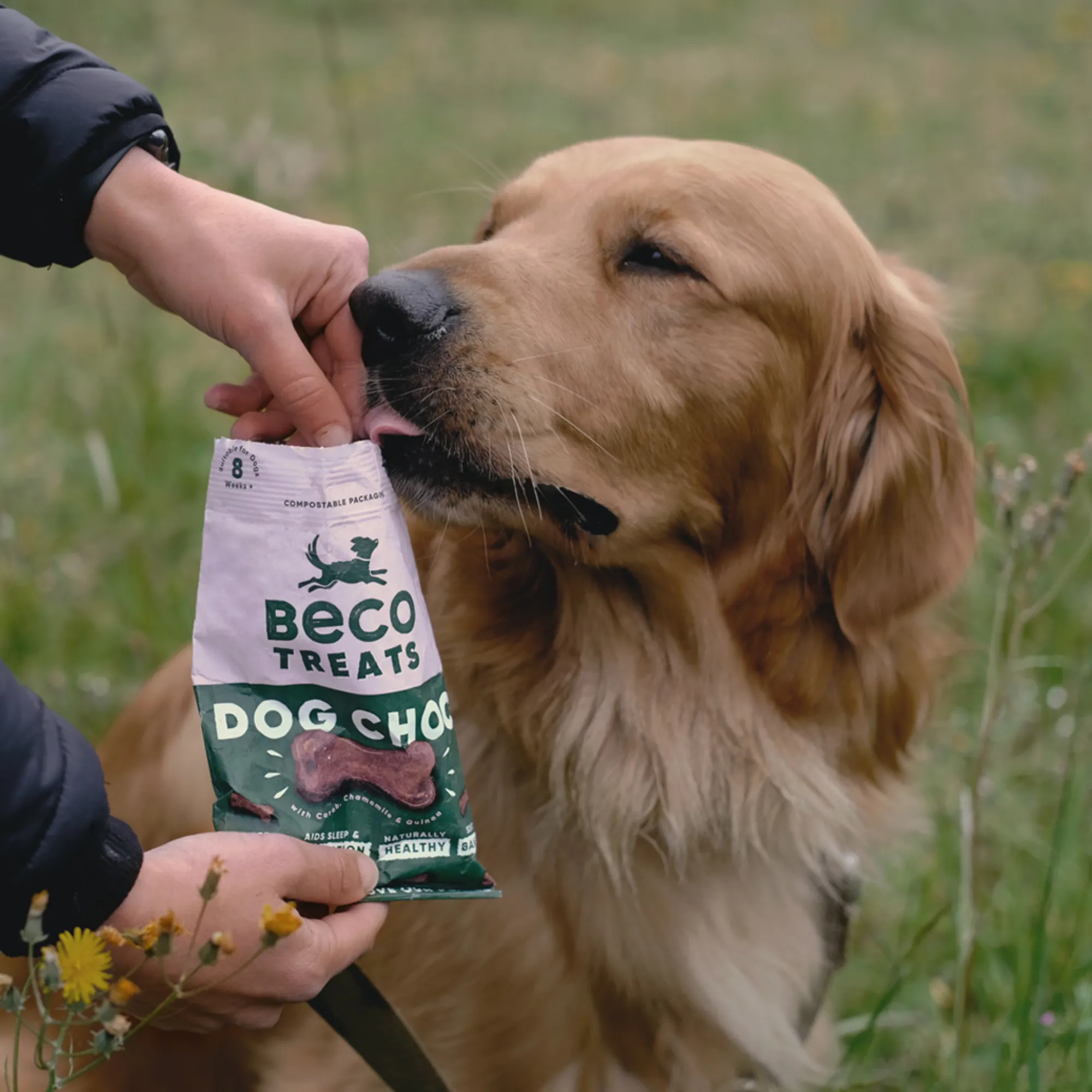 Beco Dog Treats Dog Choc
