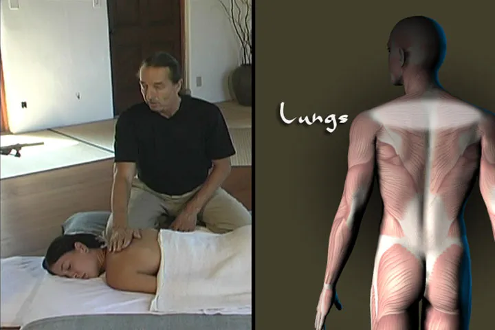 Clinical Shiatsu & Acupressure Massage Video on DVD & Streaming Version - Real Bodywork