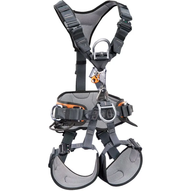 CT Gryphon Ascender Harness M-L