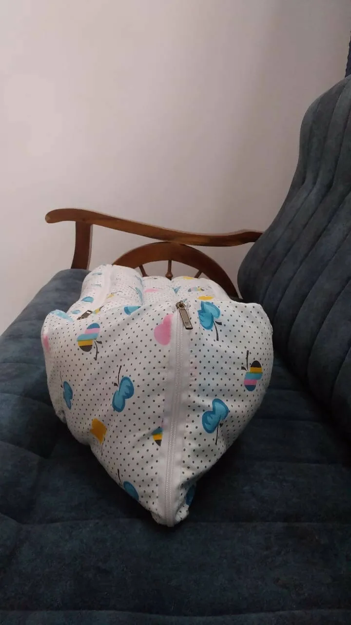 FISHERPRICE 3 In 1 Sleeping Cum Carry Bag with Apple Print