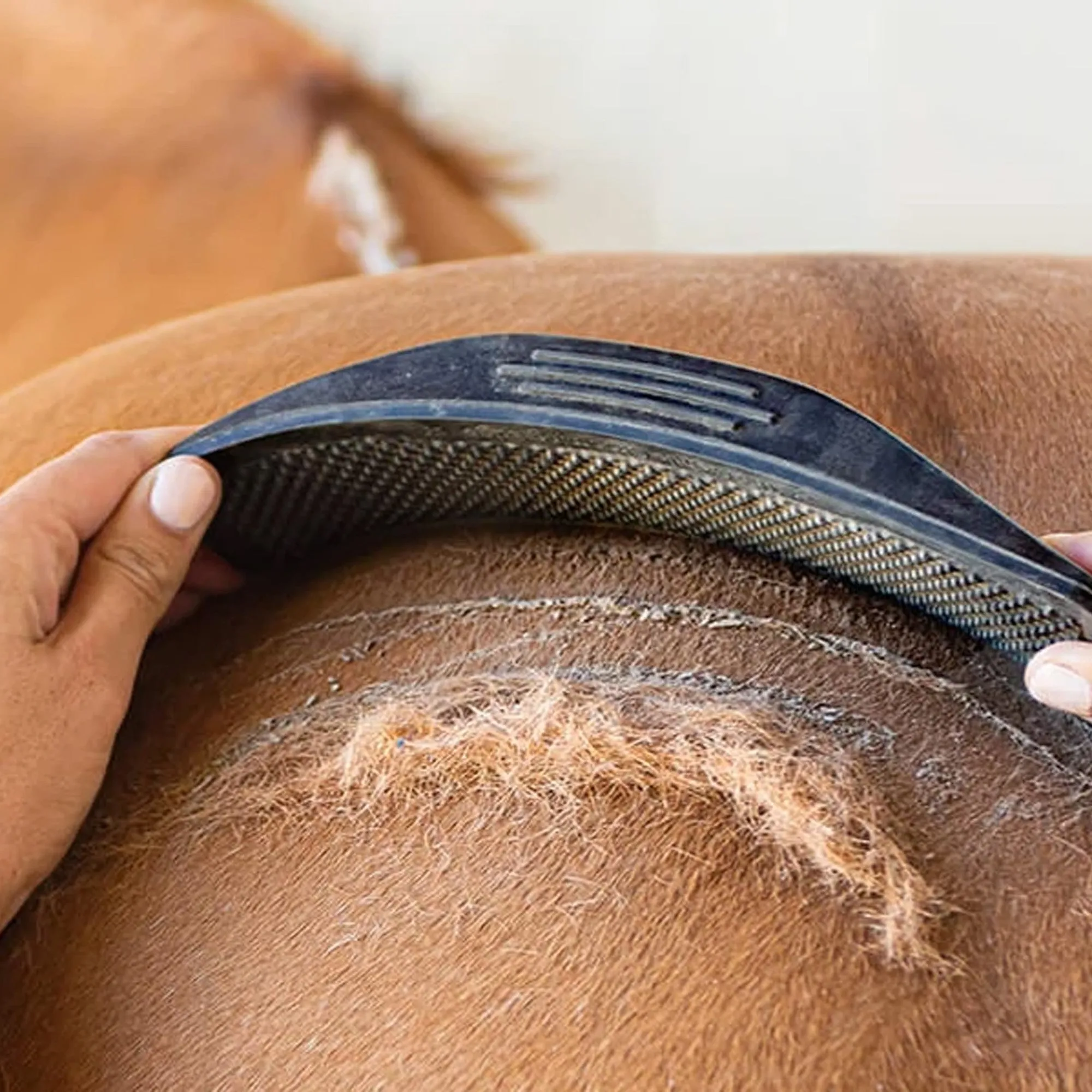 Horse Striphair Gentle Groomer