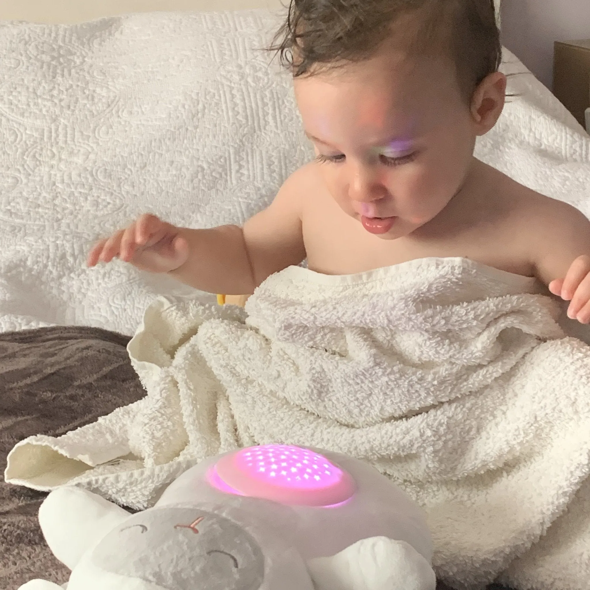 Little Chick London Comfort Light Little Lamb