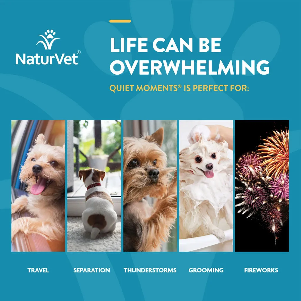 NaturVet Quiet Moments Calming Aid Plus Melatonin Soft Chews for Dogs