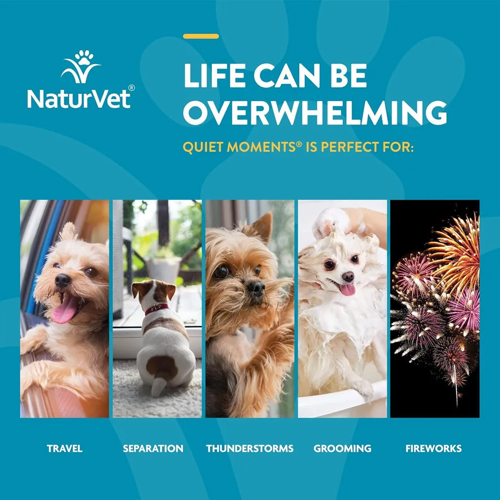 NaturVet Scoopables Quiet Moments Calming Aid Plus Melatonin For Dogs, 11-oz