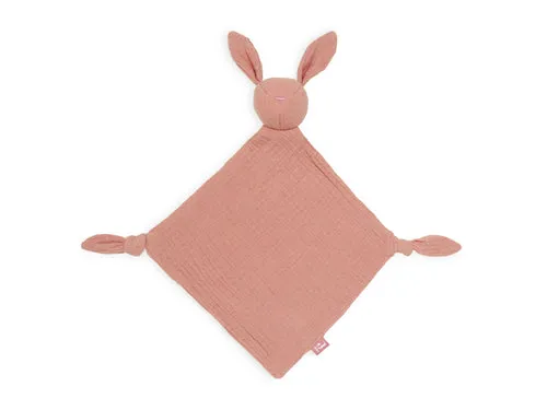 Pacifier Cloth Bunny Ears