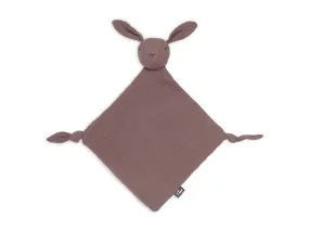 Pacifier Cloth Bunny Ears