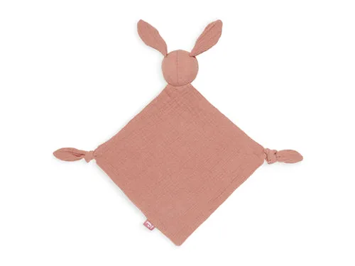 Pacifier Cloth Bunny Ears