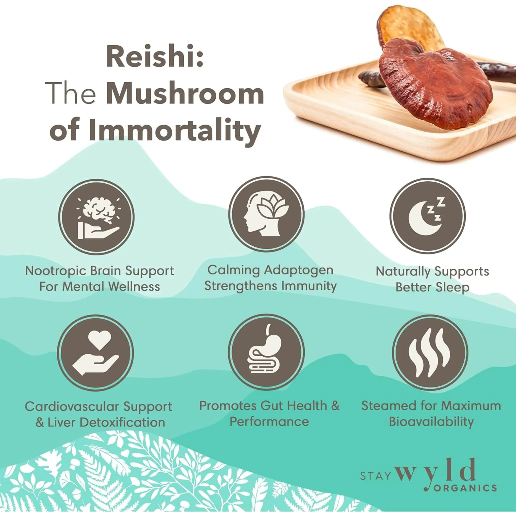 Stay Wyld Organics Reishi (Stress & Anxiety Support), 100g Powder