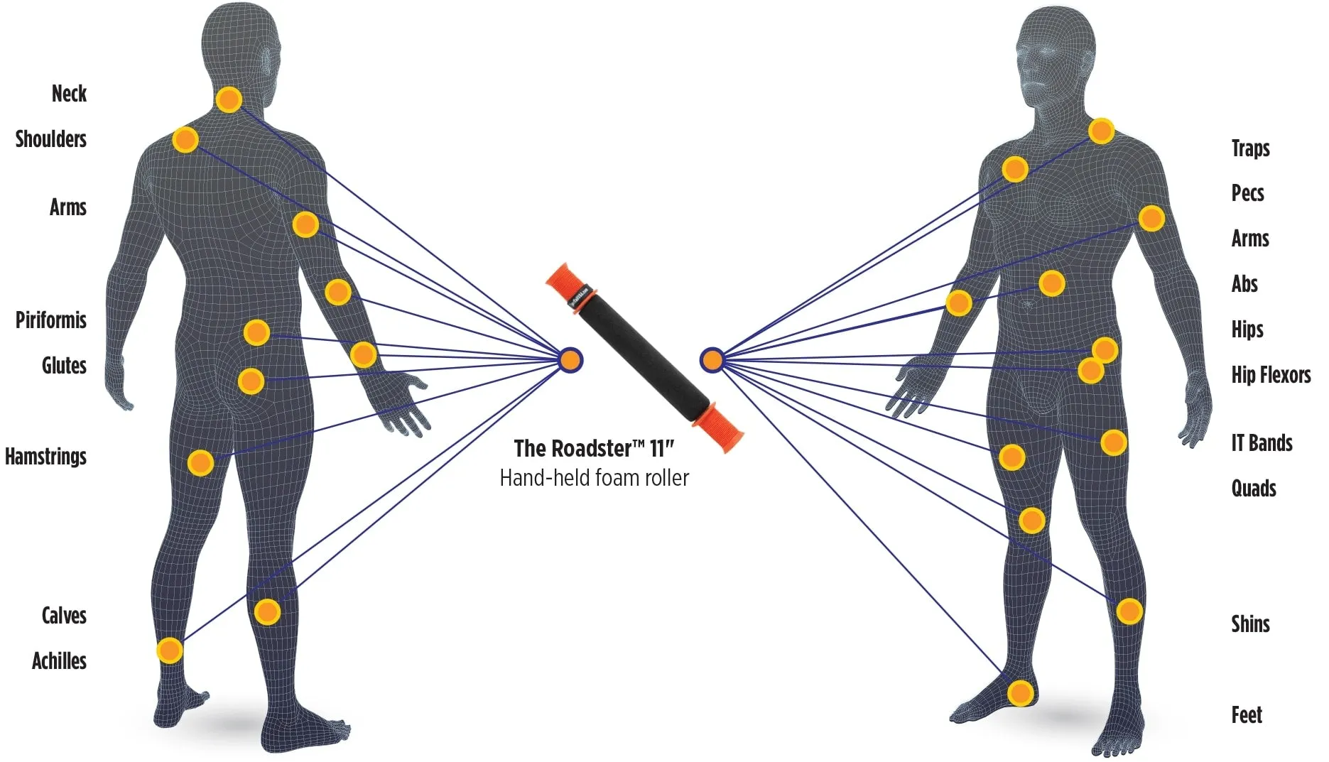 Tiger Tail Trigger Point Massage Stick