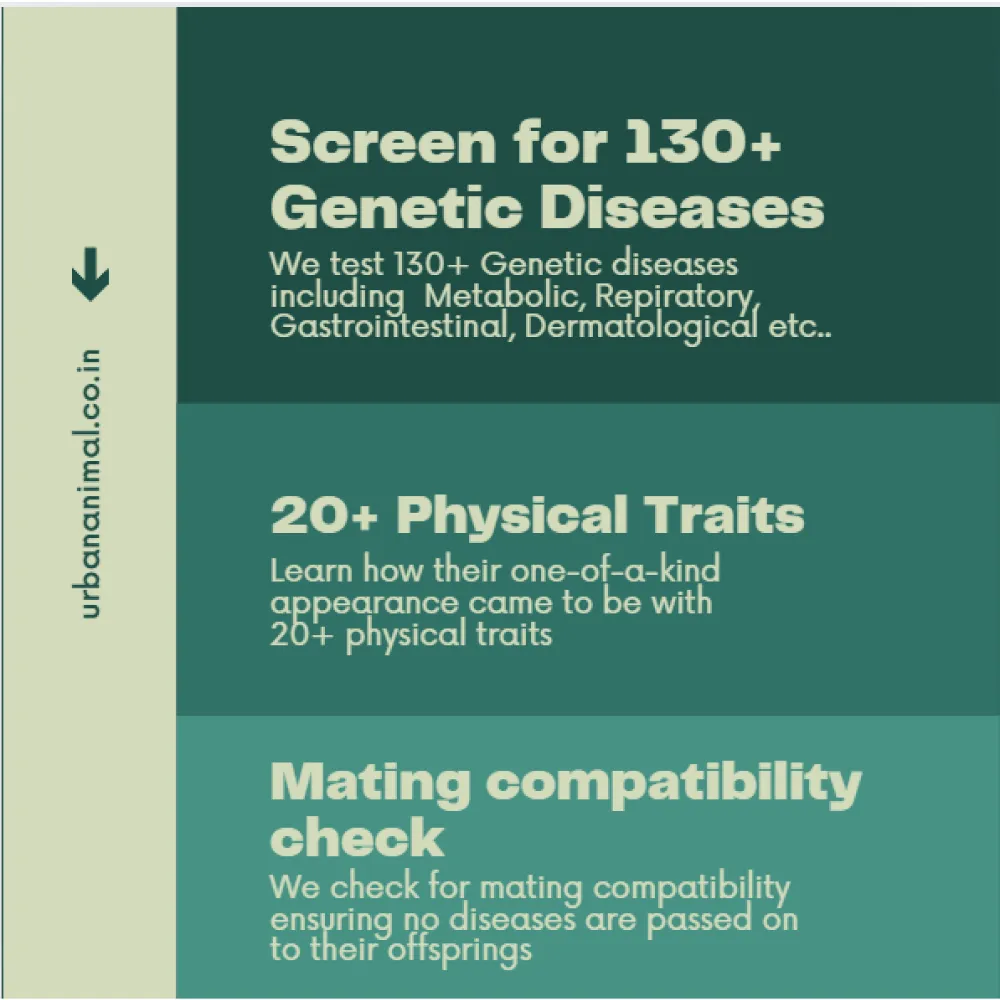Urban Animal DNA Test for Mating Check Track Test Kit for Dogs