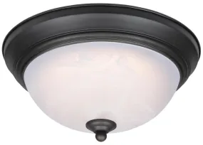 Westinghouse 6400600 Flush Mount Ceiling Fixture, 120 V, Integrated LED Lamp, 930 Lumens Lumens, 3000 K Color Temp :EA: QUANTITY: 1