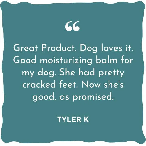 WildWash PRO | Magic Healing Paw Balm for Dogs - 50ml